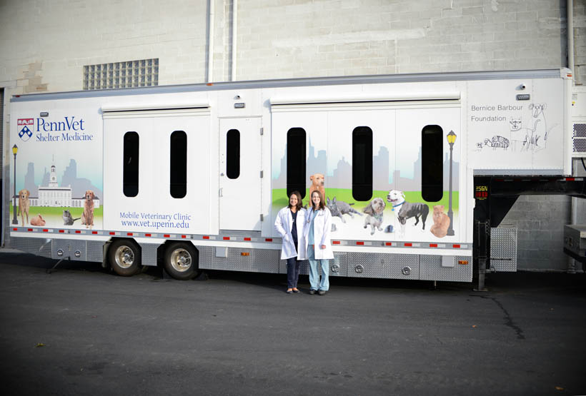 Mobile veterinary trailer