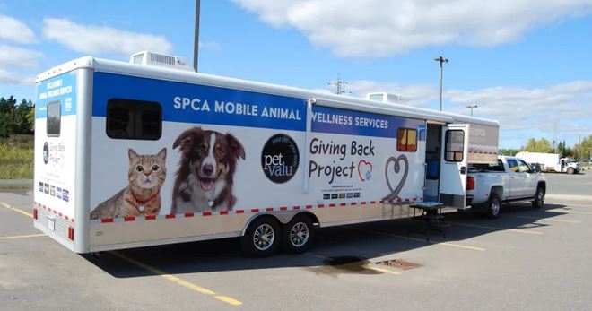 Mobile veterinary trailer